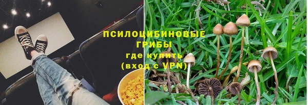 mdpv Алексин