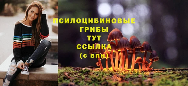 гашиш Абаза