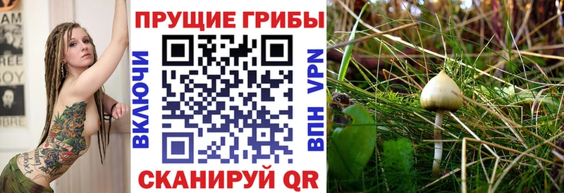 мега ссылка  Карпинск  Псилоцибиновые грибы ЛСД 